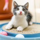 Arranhador para Gatos