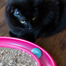 Arranhador para Gatos